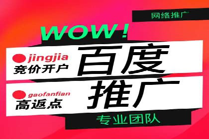 百度推广实战经验：案例分享关键词优化